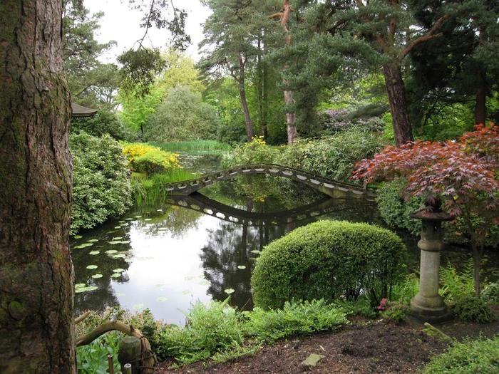 Japanese-Garden-Tatton-Park_66 - Garden