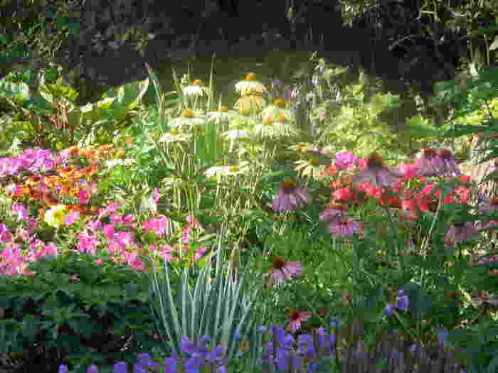 perennial-garden-design