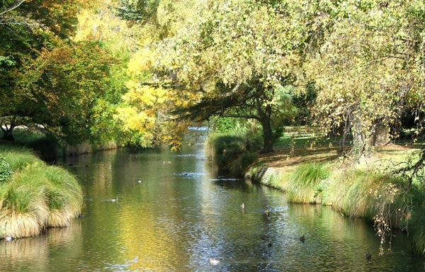 river-avon - Garden