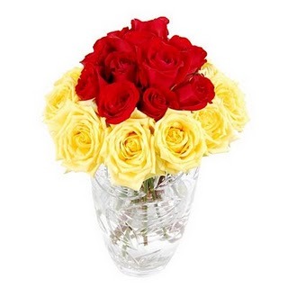 24_red_yellow_roses_RJ1588_enlarge - FLORI