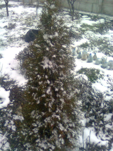 Imagine0014 - iarna in sat