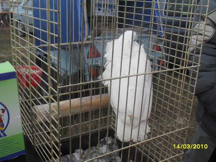 SDC11758