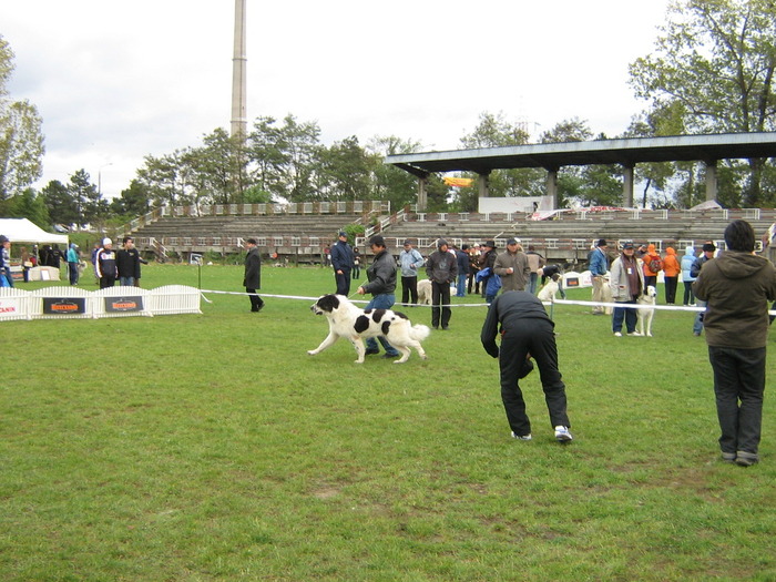 SCORILO - 9-CAMPIONATUL CIOBANESTILOR ROMANESTI -octombrie-2007