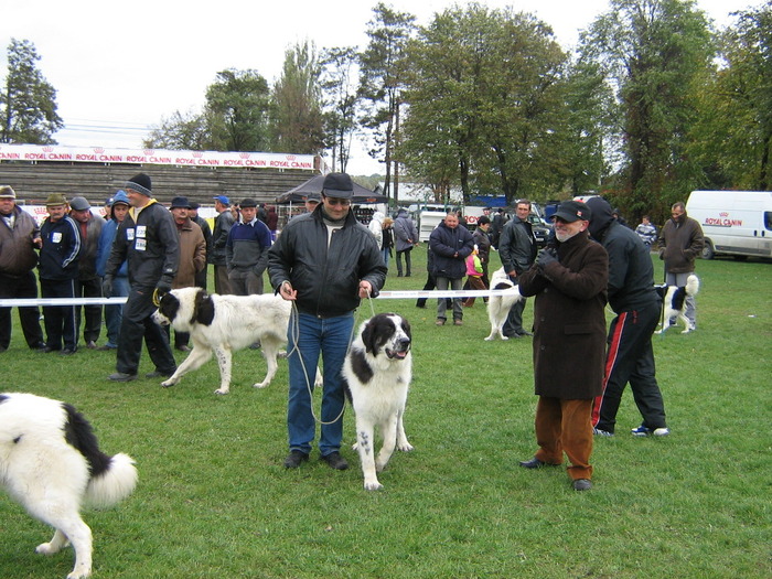 SCORILO - 9-CAMPIONATUL CIOBANESTILOR ROMANESTI -octombrie-2007