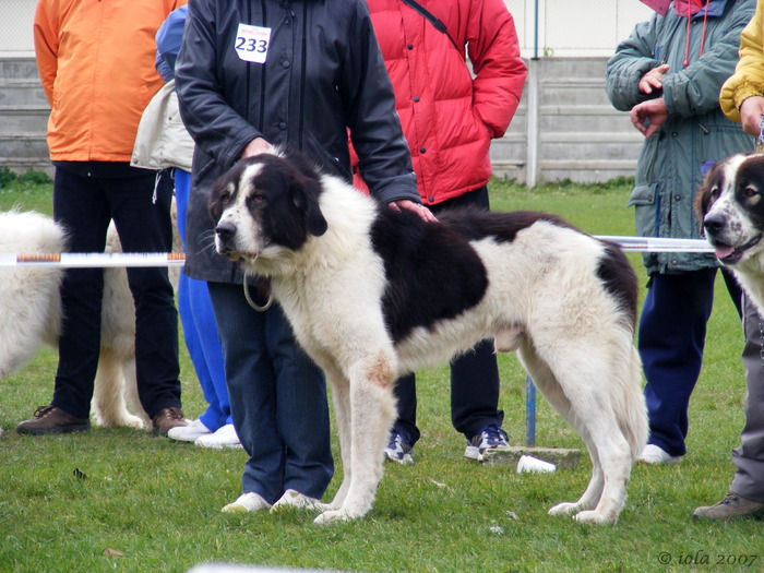 JIMMY - 9-CAMPIONATUL CIOBANESTILOR ROMANESTI -octombrie-2007