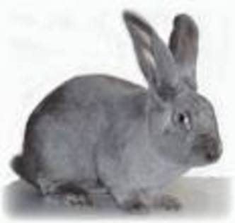 SDCA33S2W3CAGK6IZGCAMXBUE5CALPSSC0CAAFK34MCAWEM7XBCALA7L8ACAB9F7HUCAU8OLORCAJGW9H6CAPVCU2NCALZ0II9CA