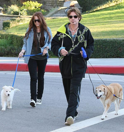 Miley-Cyrus-Dog-Walking