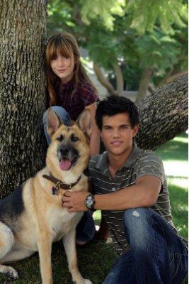 Taylor-Lautner-1242546962 - taylor launter