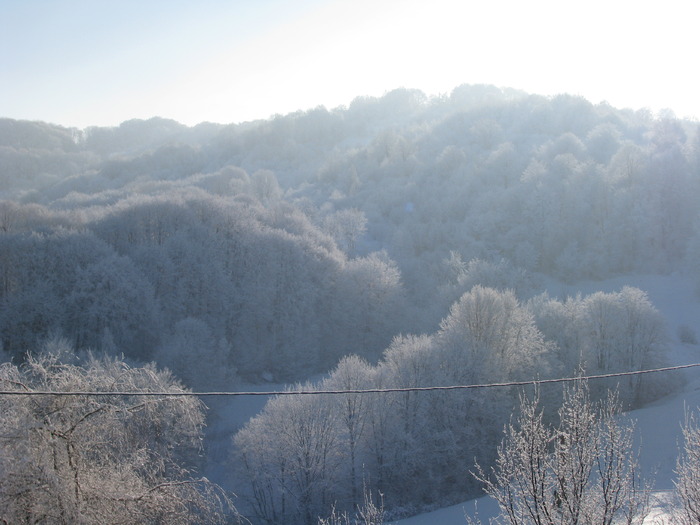 No comment - Manastirea Rohita - Maramures