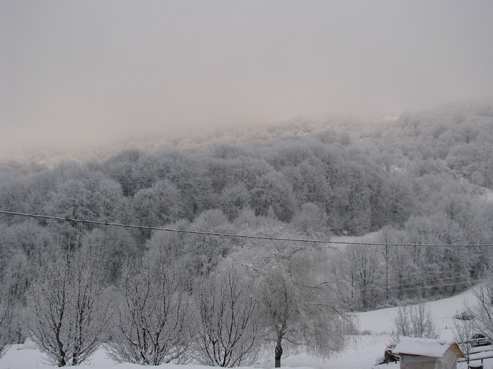 Picture 017 - Manastirea Rohita - Maramures