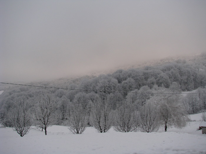 Picture 019 - Manastirea Rohita - Maramures