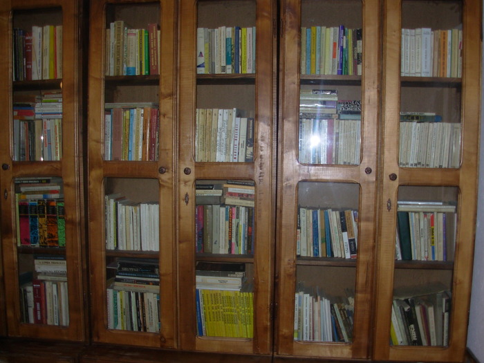 Biblioteca Manastirii Rohita