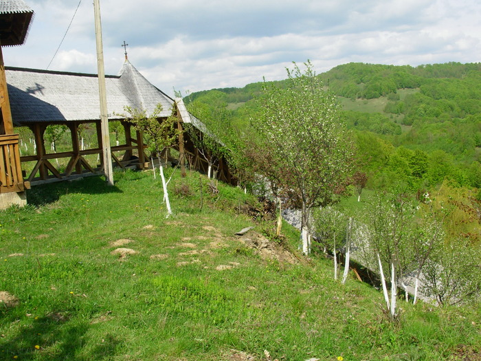 scarile in ansamblu de sus - Manastirea Rohita - Maramures