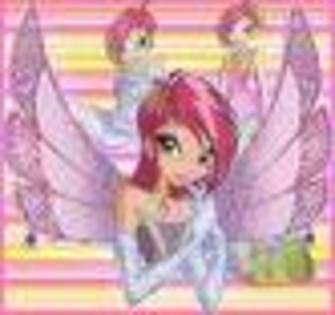 imagini - 00000 Winx