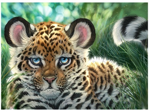 20173_500[1] - animale