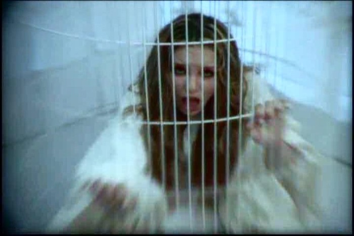 Snapshot087 - Videoclipuri