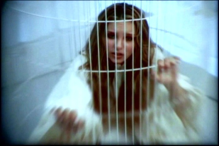 Snapshot089 - Videoclipuri