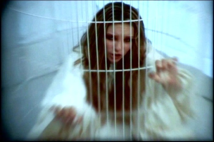 Snapshot090 - Videoclipuri