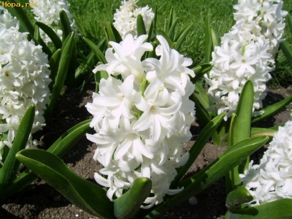 1577631_1250852212[2]