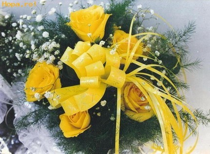 buchet15_1241080402[2]