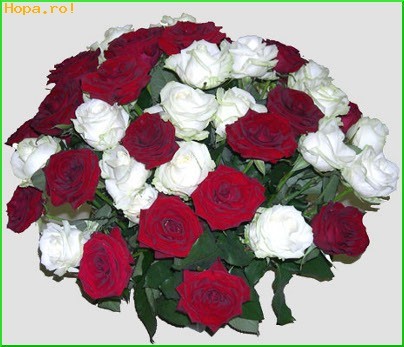 o_adevarata_explozie_de_sentimente_1237891920[2] - flori