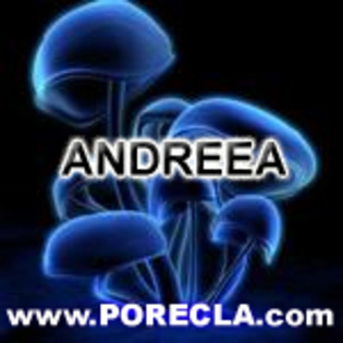 518-ANDREEA%20avatare%20magice%20cu%20nume - numele meu