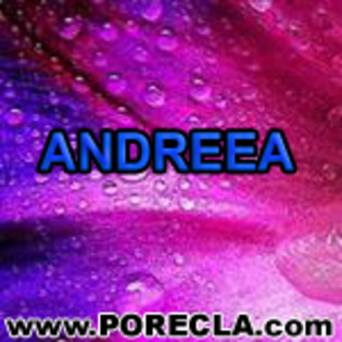 518-ANDREEA%20ingineru - numele meu