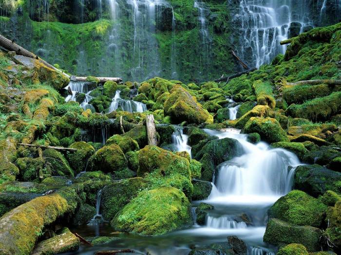 Proxy Falls, Cascade Range, Oregon - cascade