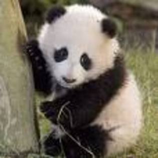 36CA748JKYCA7560DGCAYADZS7CAQCEU06CALG2N65CAJ8JLAUCAJZ74XVCACVN7QGCAC7S2HYCA240M6ICANWNIM5CA6LR0VKCA