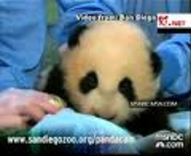 47CATK7RX4CAY4W4BFCARQ43IGCAHALB4OCAWALZ7TCAFWDFGXCABSAN5WCAPSAGOICA5YLHNJCAM5RU86CA29JF1LCA1X2C4GCA