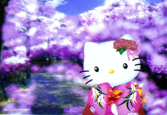 Hello-Kitty-hello-kitty-182166_1024_704 - hellokitty