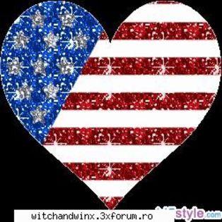 inimioara U.S.A steag sclipicios - poze cu sclipici