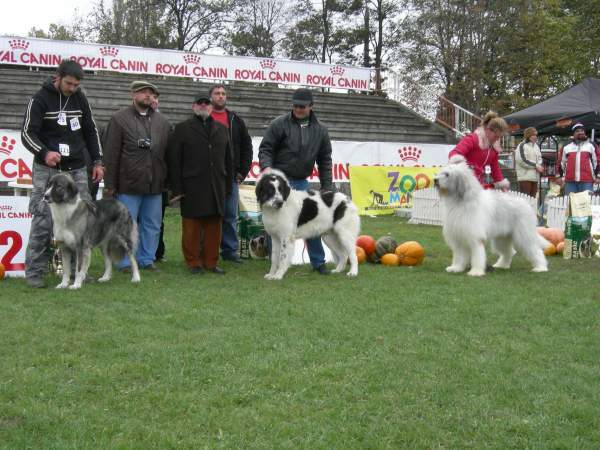  - 9-CAMPIONATUL CIOBANESTILOR ROMANESTI -octombrie-2007