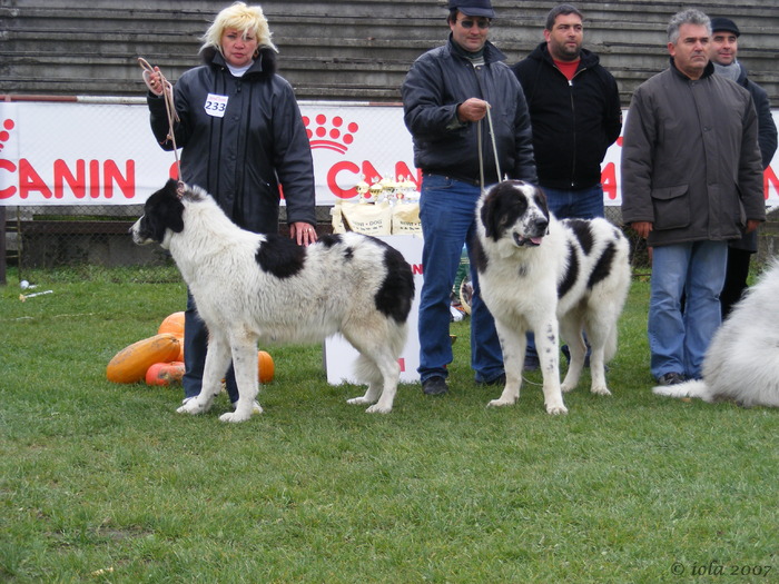 ALINA si SCORILO - 9-CAMPIONATUL CIOBANESTILOR ROMANESTI -octombrie-2007