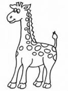 girafa - poze de colorat