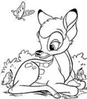 TYFEXRPEUXSAMXNQOLS - poze de colorat