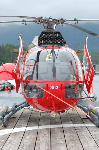 DSC_7980[1] - elicopter