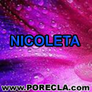 648-NICOLETA ingineru - avatare