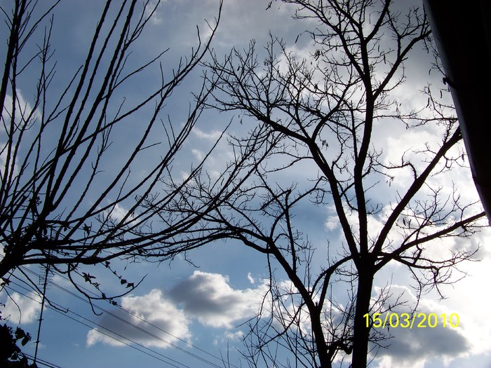 100_2043 - un album ff frumos