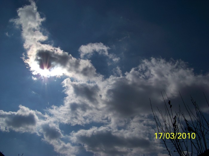 100_2272 - un album ff frumos