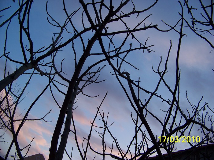 100_2292 - un album ff frumos