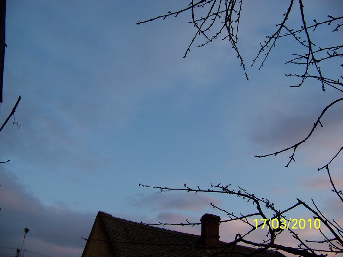 100_2295 - un album ff frumos