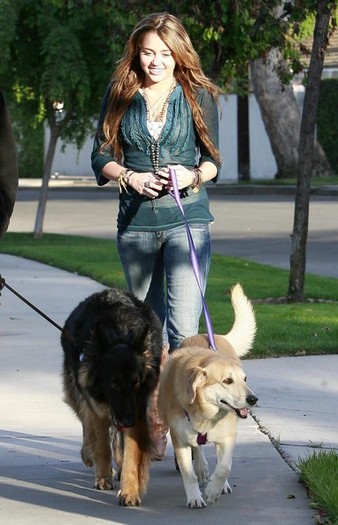 Miley+Cyrus+Dad+Walking+Their+Dogs+YCzrp_9F5vcl - Pozele mele preferate cu Miley