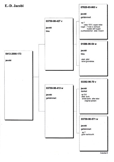 Binder1_Page_08 - PORUMBEI CE AM AVUT