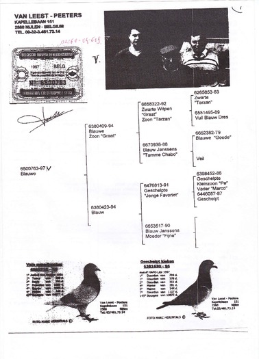 Binder1_Page_11 - PORUMBEI CE AM AVUT