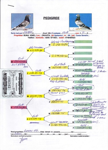 Binder1_Page_13 - PORUMBEI CE AM AVUT