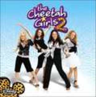 Cheetah-Girls-the-cheetah-girls-156825_119_120 - cheetah girls