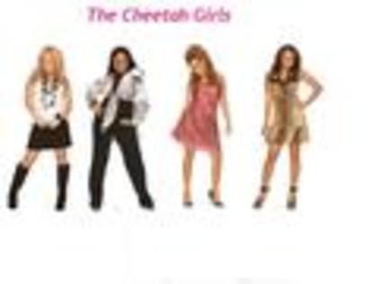 The-Fab-Cheetah-Girls-the-cheetah-girls-2576490-120-90