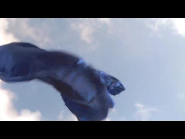 Princess.Protection.Program.2009.DVDRip.XviD-VoMiT-94