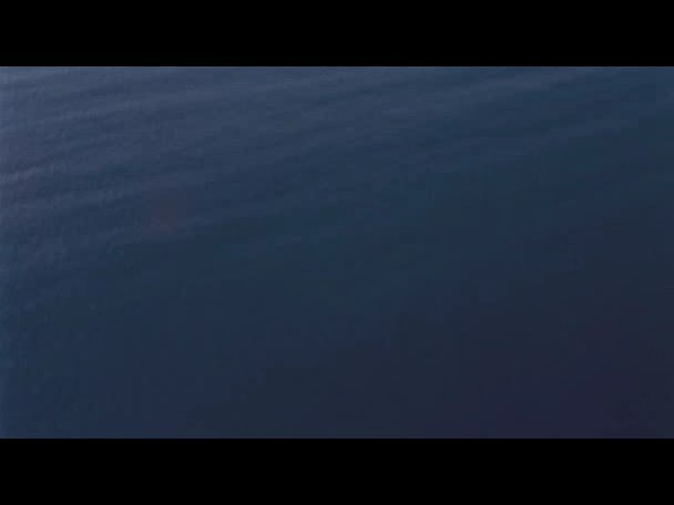 Princess.Protection.Program.2009.DVDRip.XviD-VoMiT-125